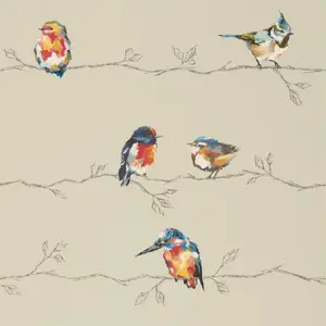  Harlequin Standing Ovation 111486 -  1