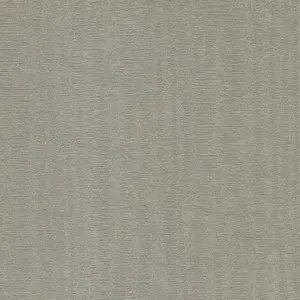  Hohenberger Epic 63564 -  1