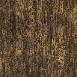  Hohenberger Universe 51205