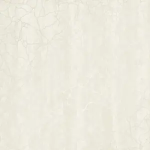  Holden Decor Midas 65470 -  1
