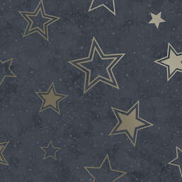 ���� Holden Decor Adventure Awaits 14061