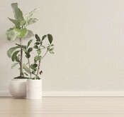 ���� Holden Decor Eleganza 36431 - ���� 31