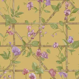  Holden Decor Imaginarium III  14201