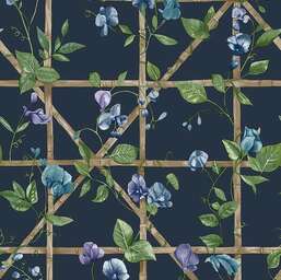 ���� Holden Decor Imaginarium III  14202