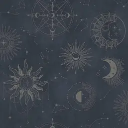  Holden Decor Imaginarium III  14251