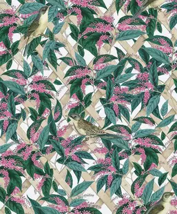  Holden Decor Glasshouse 90330