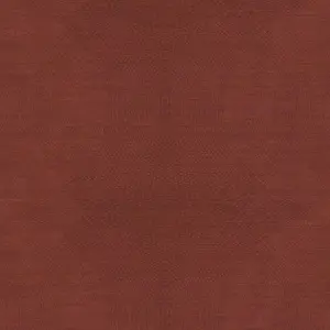  Italreflexes Kata KA100 -  1