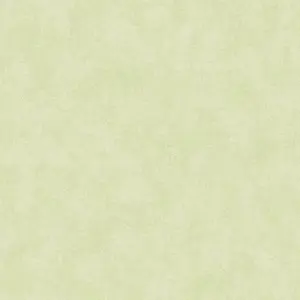 Обои Jannelli & Volpi JV Textures 5329 - фото 1