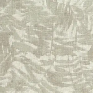  Jannelli & Volpi JV161 Arashi JV5901 -  1