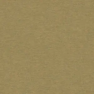  Jannelli & Volpi JV171 Ikat 6417 JV -  1