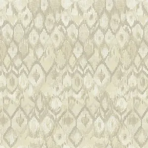 Обои Jannelli & Volpi JV171 Ikat 6450 JV - фото 1