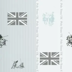 KT Exclusive Stars&Stripes 2800031 -  1
