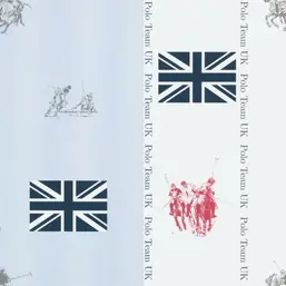  KT Exclusive Stars&Stripes 2800033
