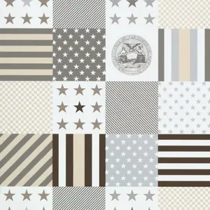  KT Exclusive Stars&Stripes 2800071 -  1