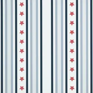  KT Exclusive Stars&Stripes 2800083 -  1