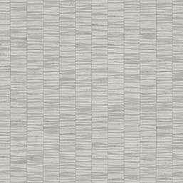  KT Exclusive Swatch FX90107
