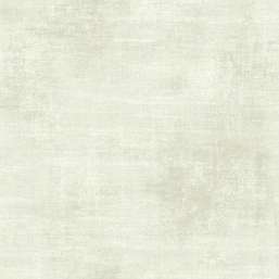  KT Exclusive Swatch FX90407