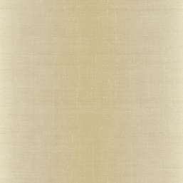  KT Exclusive Swatch FX90503