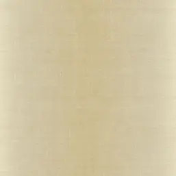  KT Exclusive Swatch FX90503