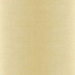  KT Exclusive Swatch FX90505