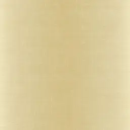  KT Exclusive Swatch FX90505