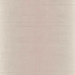  KT Exclusive Swatch FX90509