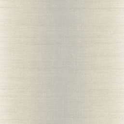  KT Exclusive Swatch FX90510