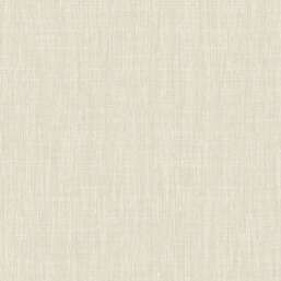  KT Exclusive Swatch FX90903