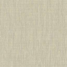  KT Exclusive Swatch FX90907