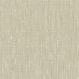  KT Exclusive Swatch FX90907