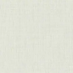  KT Exclusive Swatch FX90917