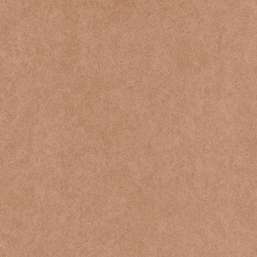  KT Exclusive Swatch FX91006