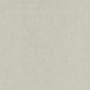  KT Exclusive Swatch FX91007 -  1