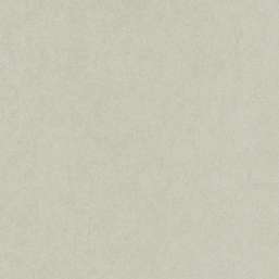  KT Exclusive Swatch FX91007