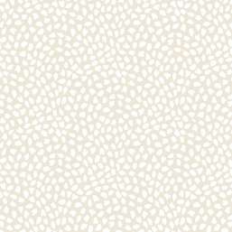  KT Exclusive Mod Chic HC81101