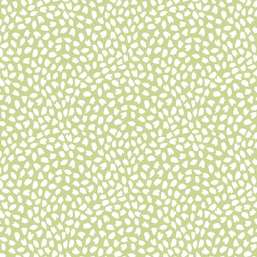  KT Exclusive Mod Chic HC81108
