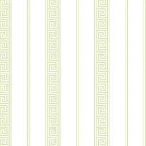  KT Exclusive Mod Chic HC81312 -  1