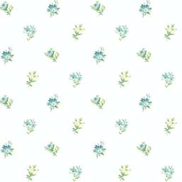  KT Exclusive Mod Chic HC81804