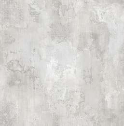  KT Exclusive Biltmore BT80411