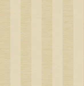  KT Exclusive Biltmore BT80707 -  1