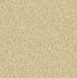  KT Exclusive Biltmore BT81007