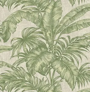  KT Exclusive Biltmore BT81604 -  1