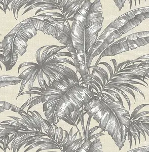  KT Exclusive Biltmore BT81608 -  1