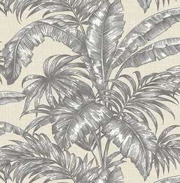  KT Exclusive Biltmore BT81608
