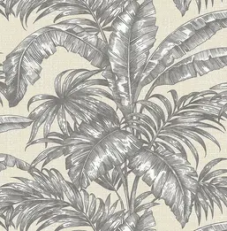  KT Exclusive Biltmore BT81608