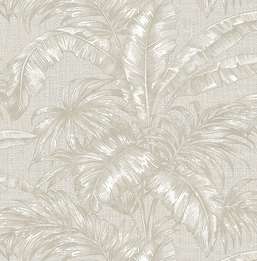  KT Exclusive Biltmore BT81618