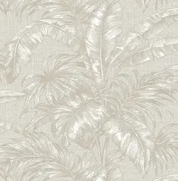  KT Exclusive Biltmore BT81618