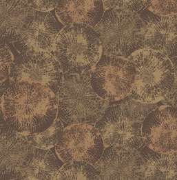  KT Exclusive Canvas OT71306