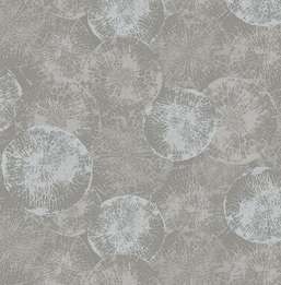  KT Exclusive Canvas OT71308