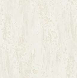  KT Exclusive Canvas OT71410